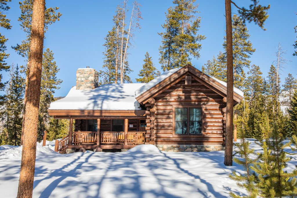 Practical survival guide for self-reliant living and traditional survival skills